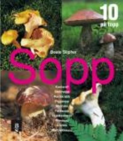 Sopp : 10 på topp