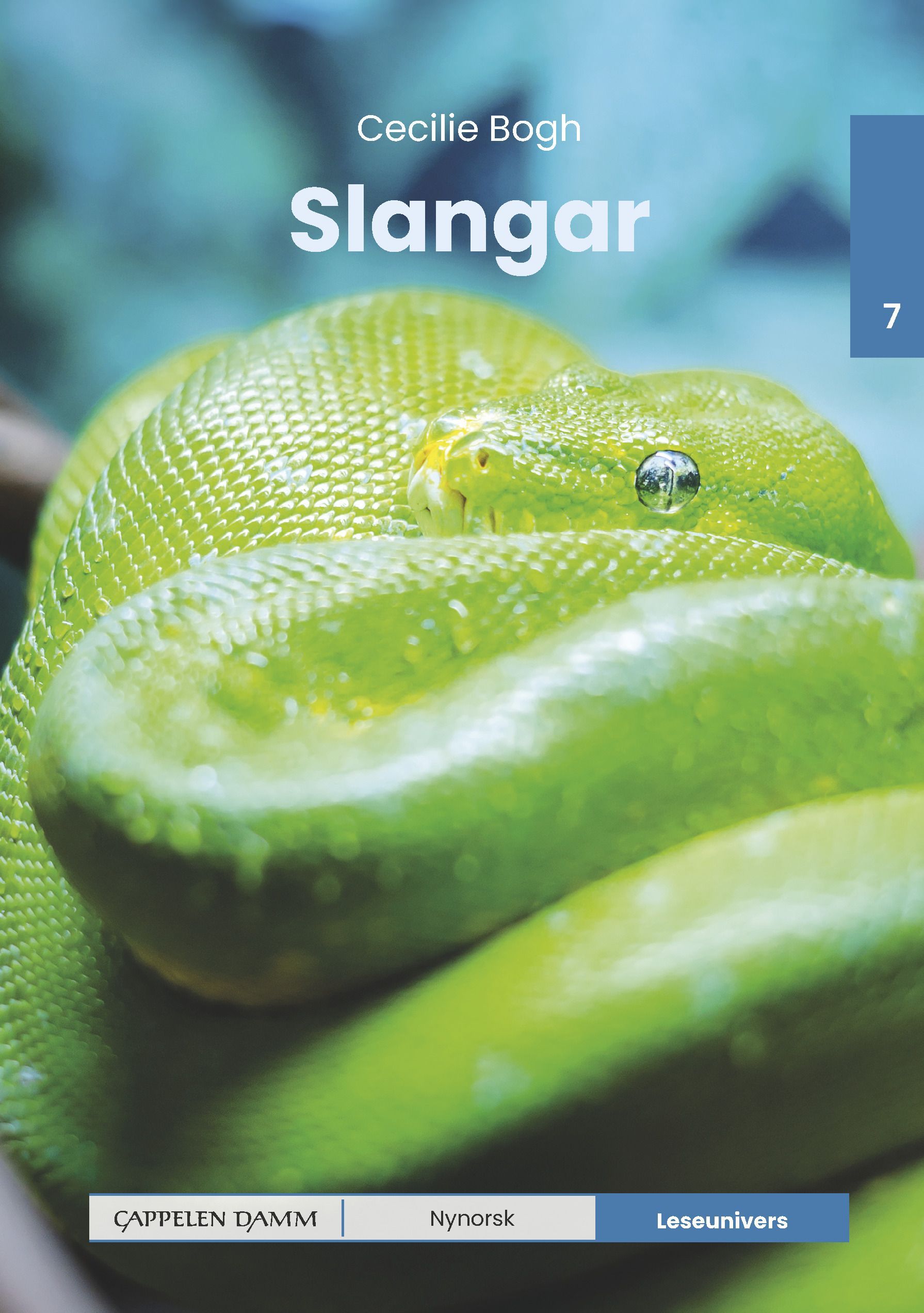 Slangar : nivå 7