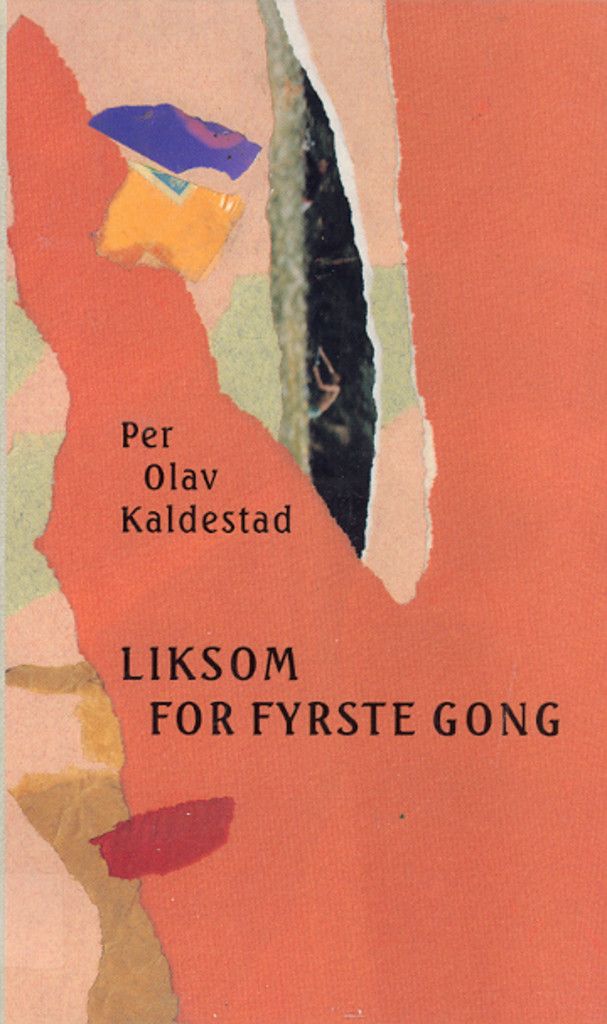 Liksom for fyrste gong : roman