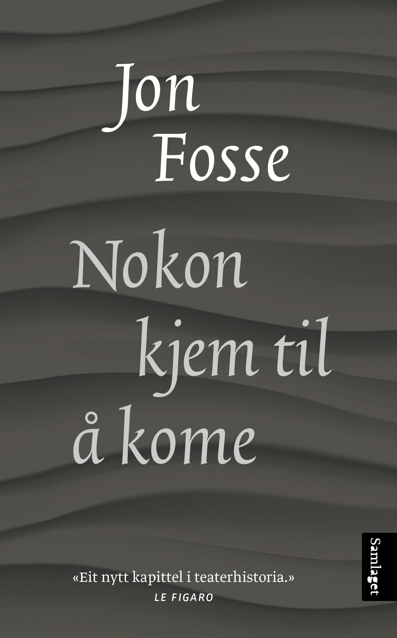 Nokon kjem til å kome : skodespel