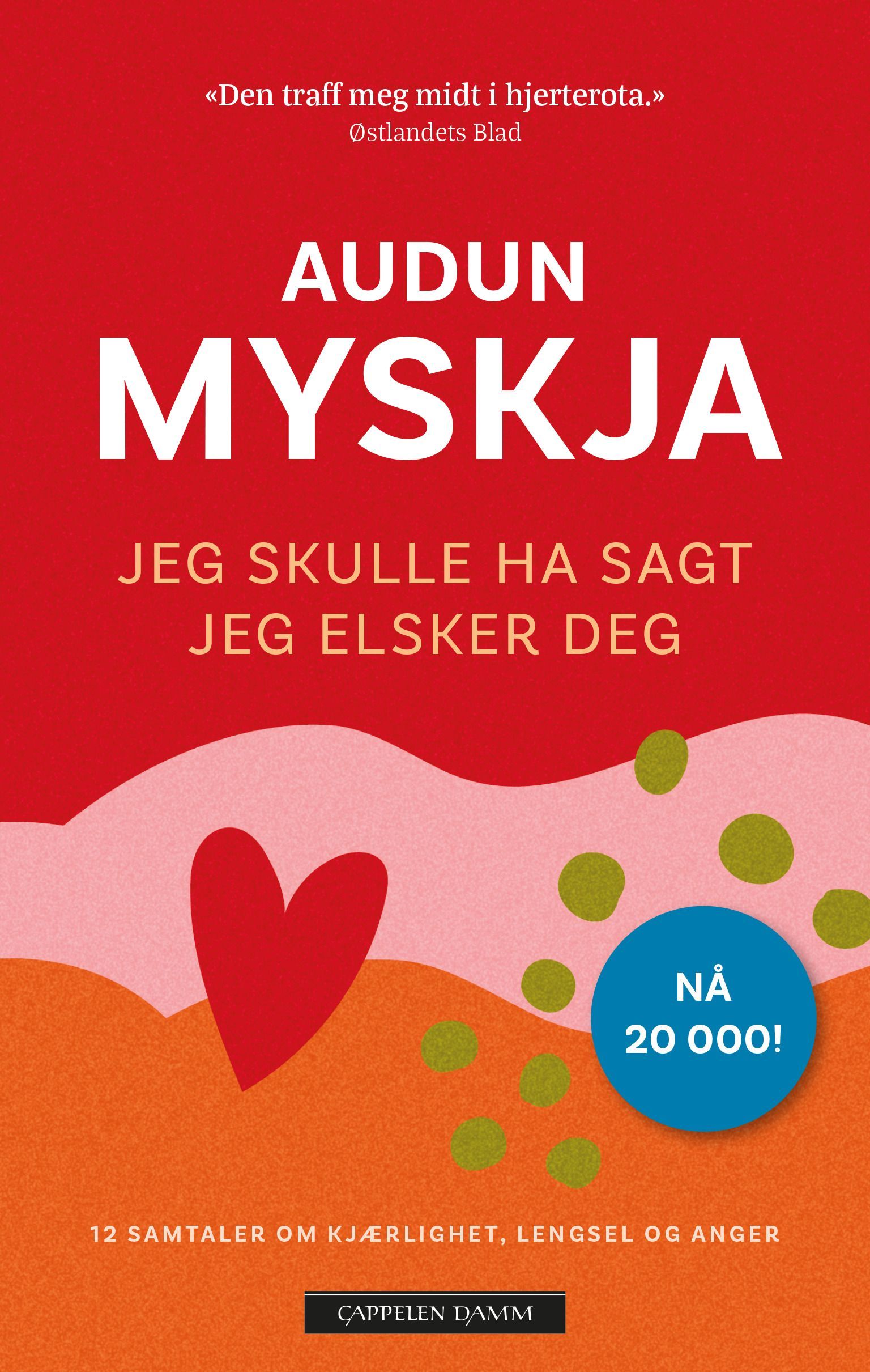 Jeg skulle ha sagt jeg elsker deg : 12 samtaler om kjærlighet, lengsel og anger ved livets slutt