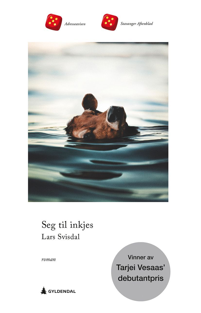 Seg til inkjes : roman