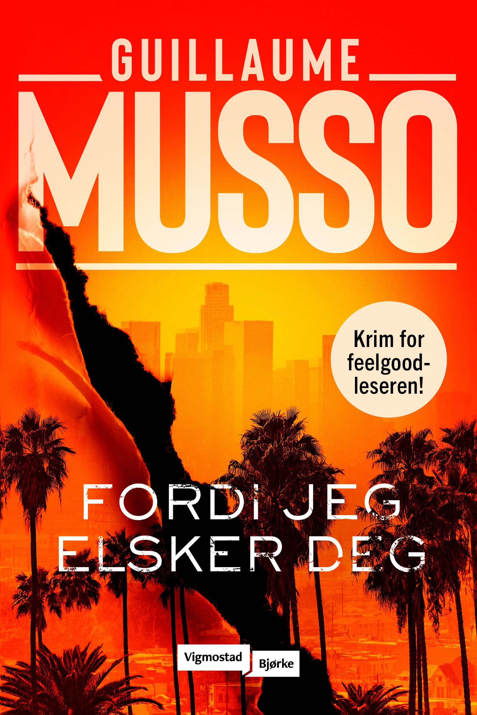 Fordi jeg elsker deg : roman