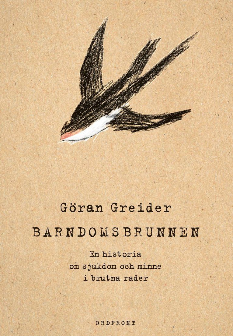 Barndomsbrunnen : en historie om sjukdom och minne i brutna rader