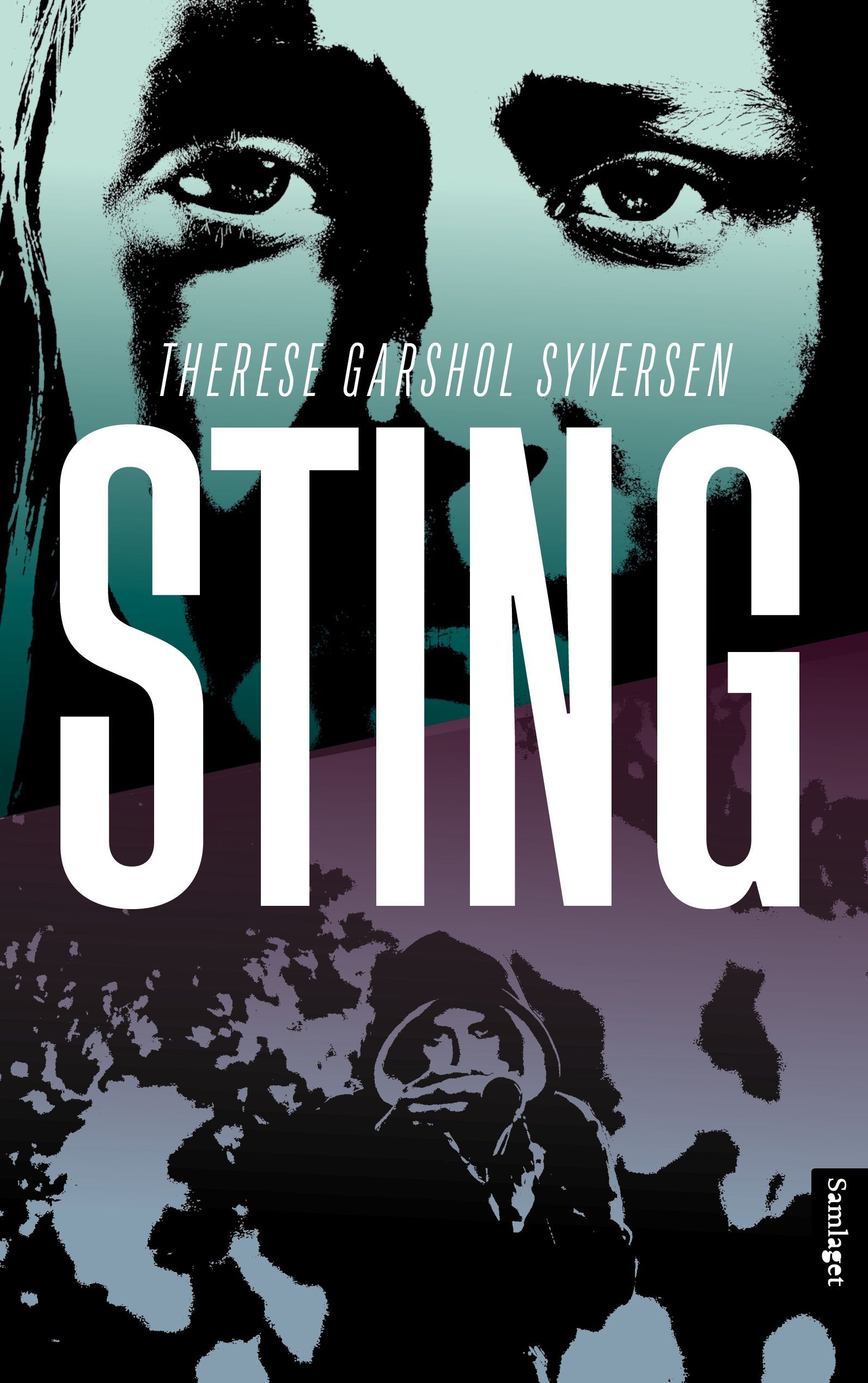 Sting : roman
