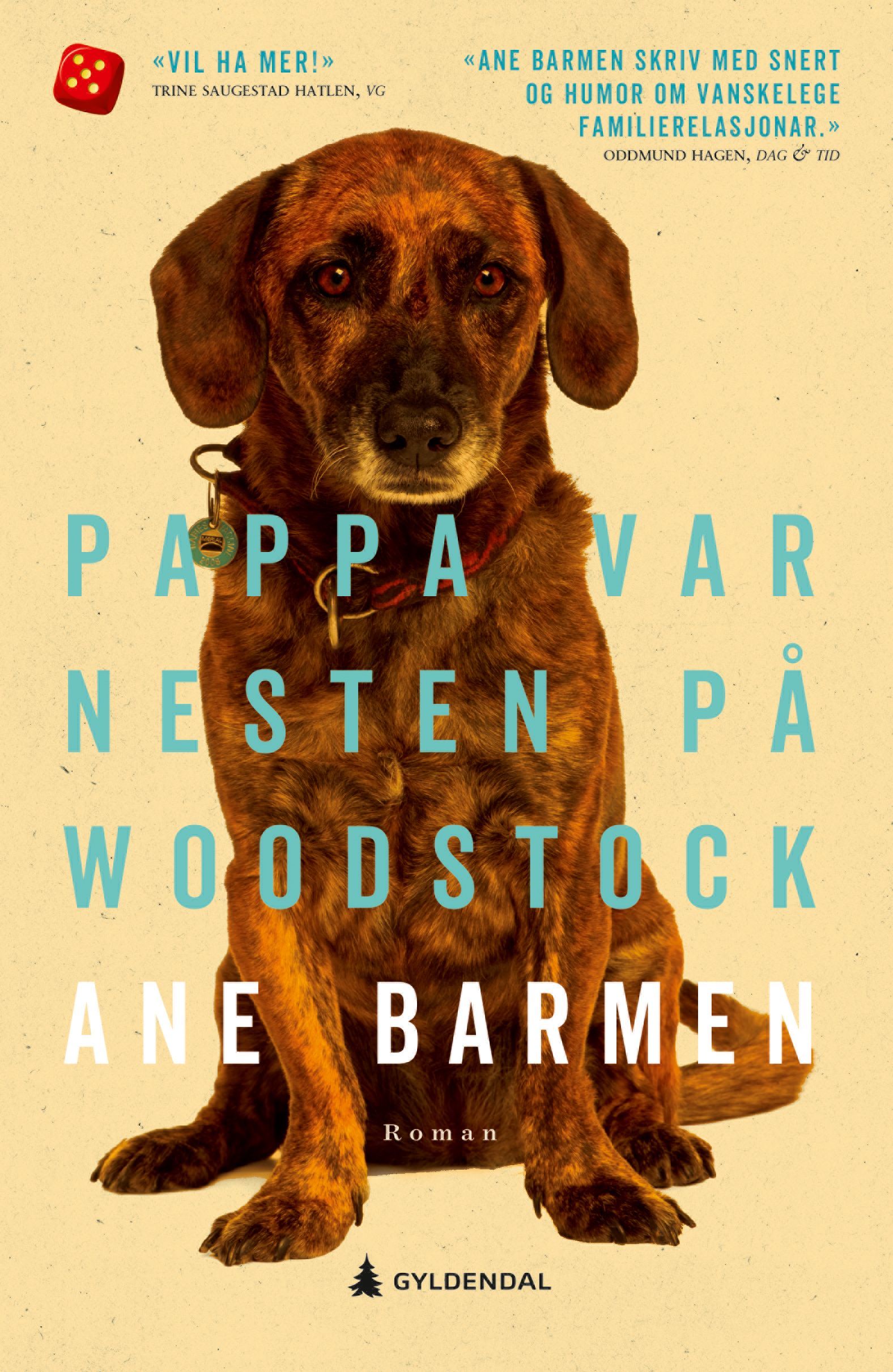 Pappa var nesten på Woodstock : roman