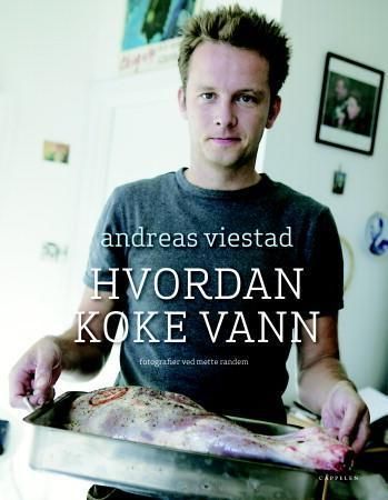 Hvordan koke vann : alt du burde kunne om mat, men ikke våget å spørre om