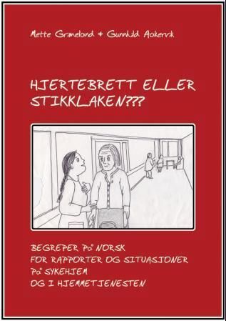 Hjertebrett eller stikklaken??? : begreper på norsk for rapporter og situasjoner på sykehjem og i hjemmetjenesten