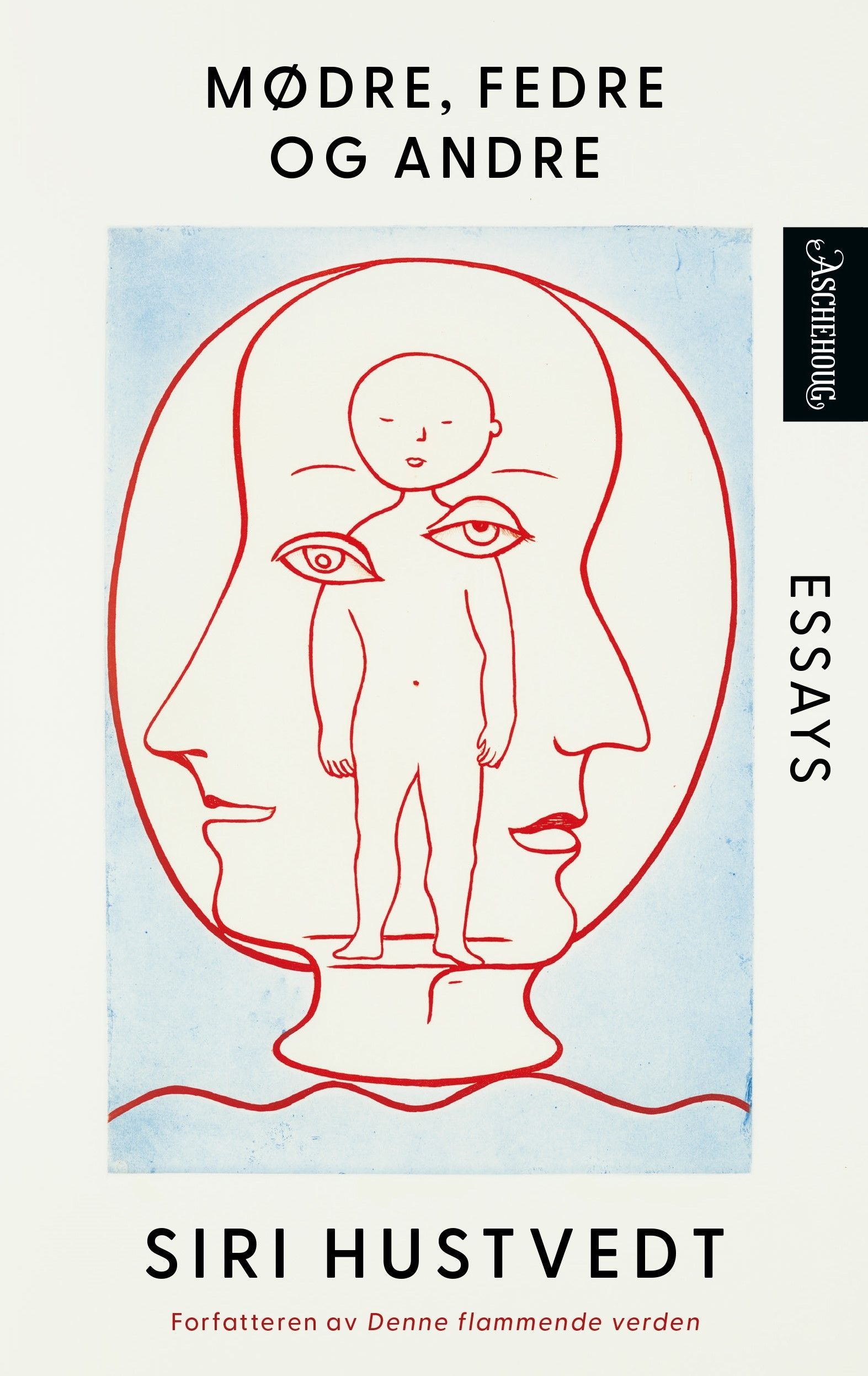 Mødre, fedre og andre : essays