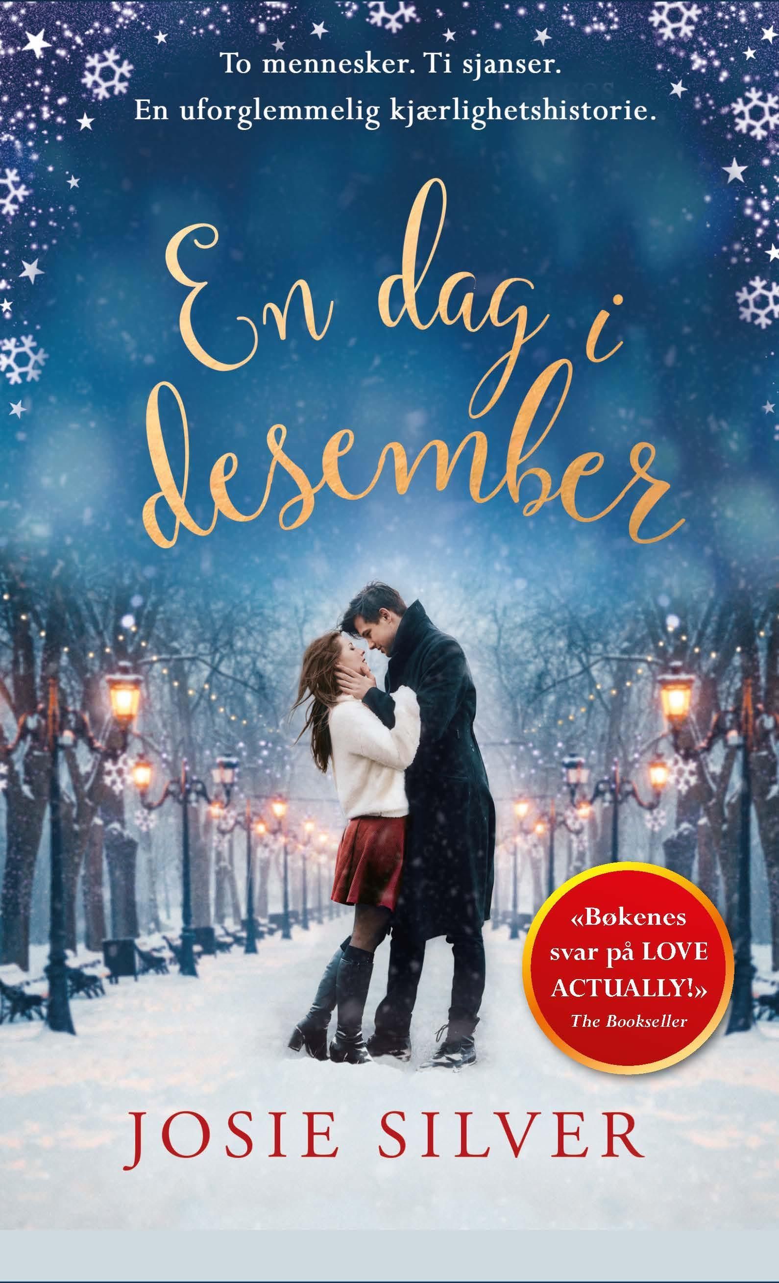 En dag i desember : en julehistorie om kjærlighet