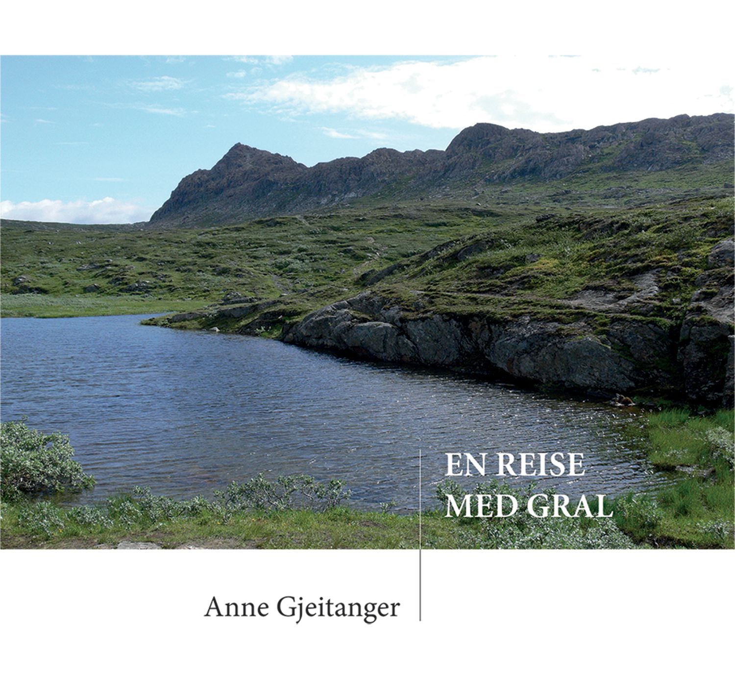 Forsidebilde av En reise med gral