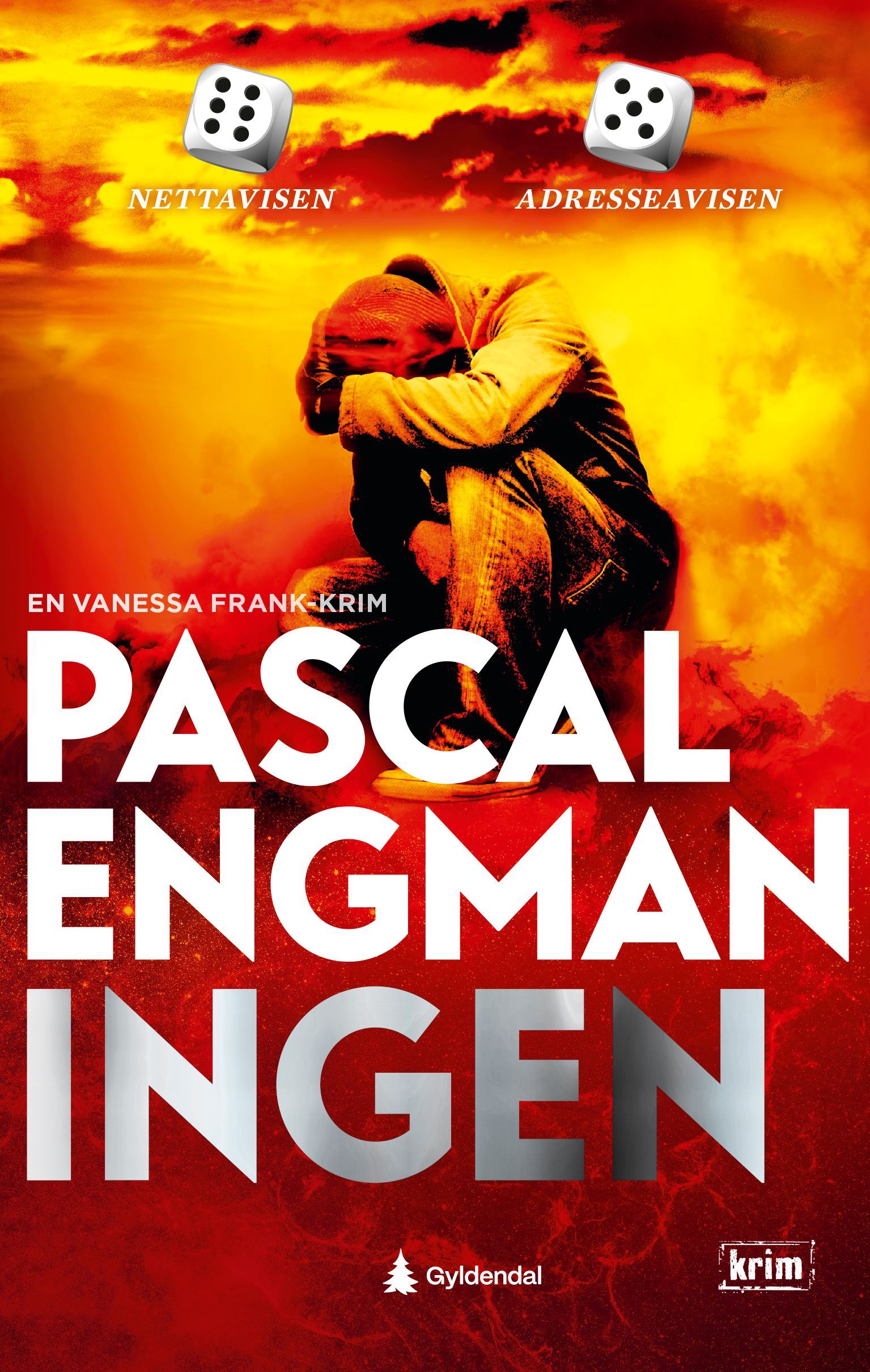 Forsidebilde av Ingen