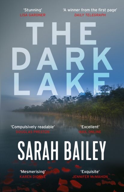 Forsidebilde av The Dark Lake
