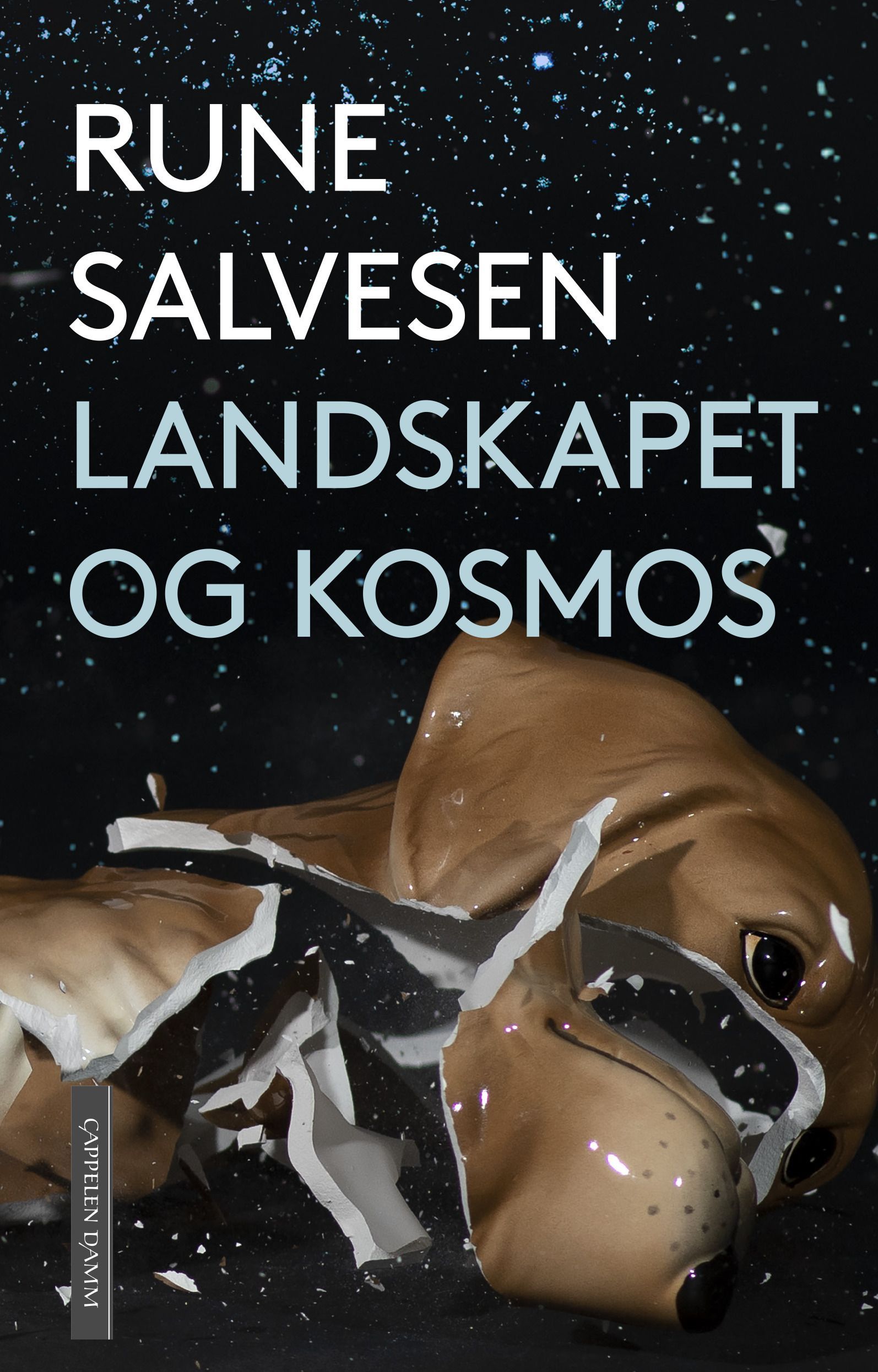 Omslagsbilde