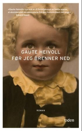 Før jeg brenner ned : roman