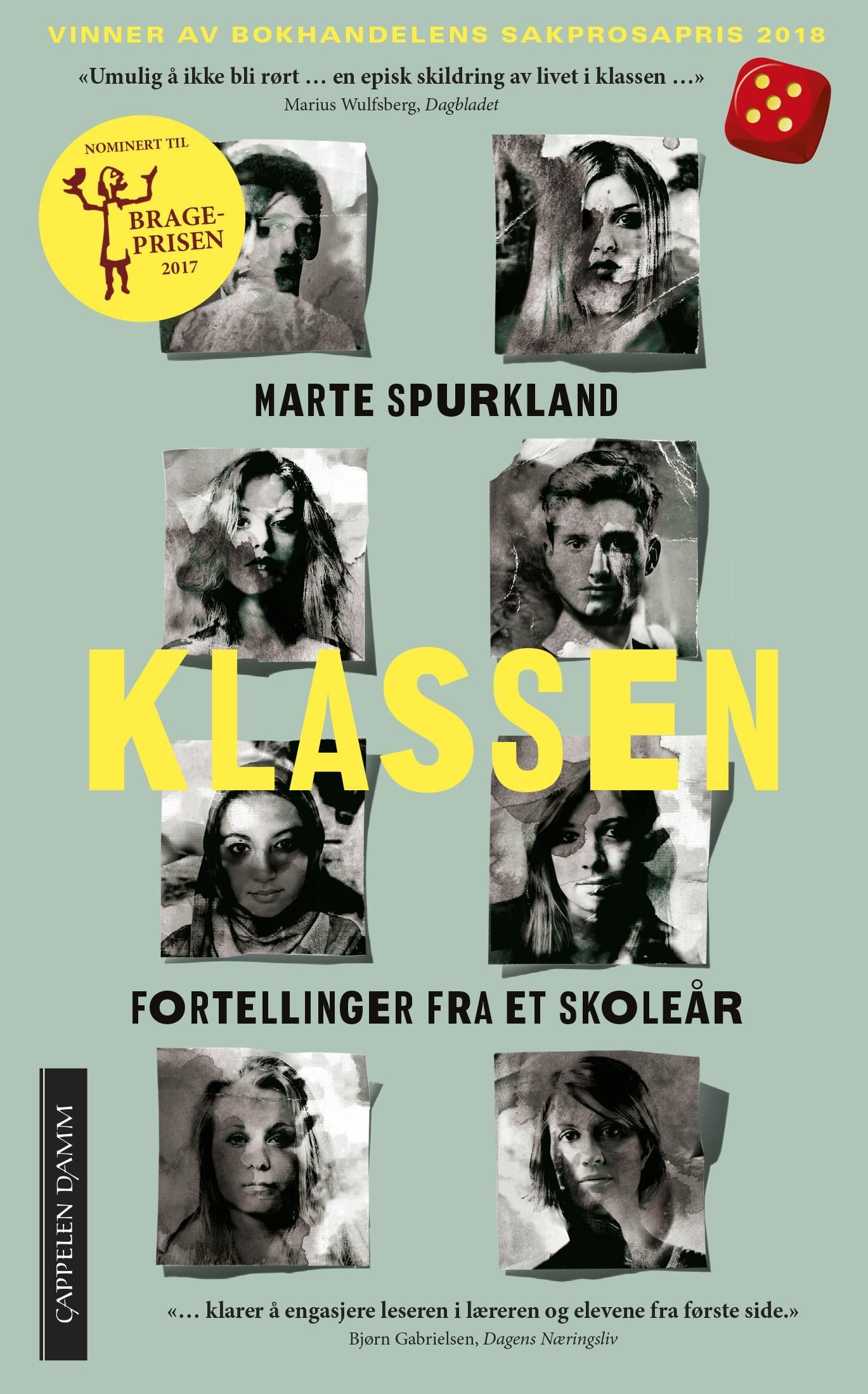 Klassen : fortellinger fra et skoleår