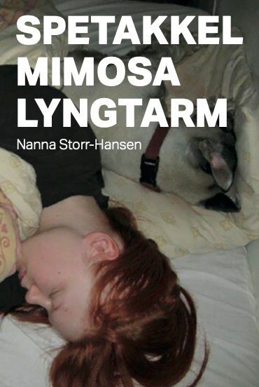 Spetakkel Mimosa Lyngtarm
