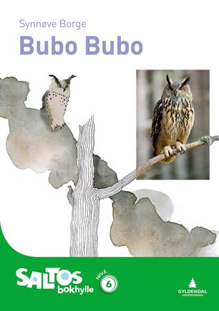 Saltos bokhylle. Nivå 6
