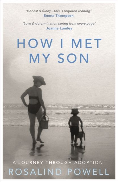 How I Met My Son : A Journey Through Adoption