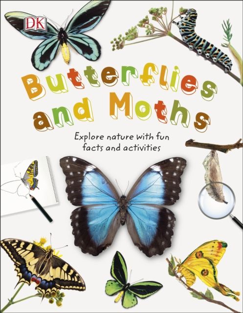 Butterflies and moths