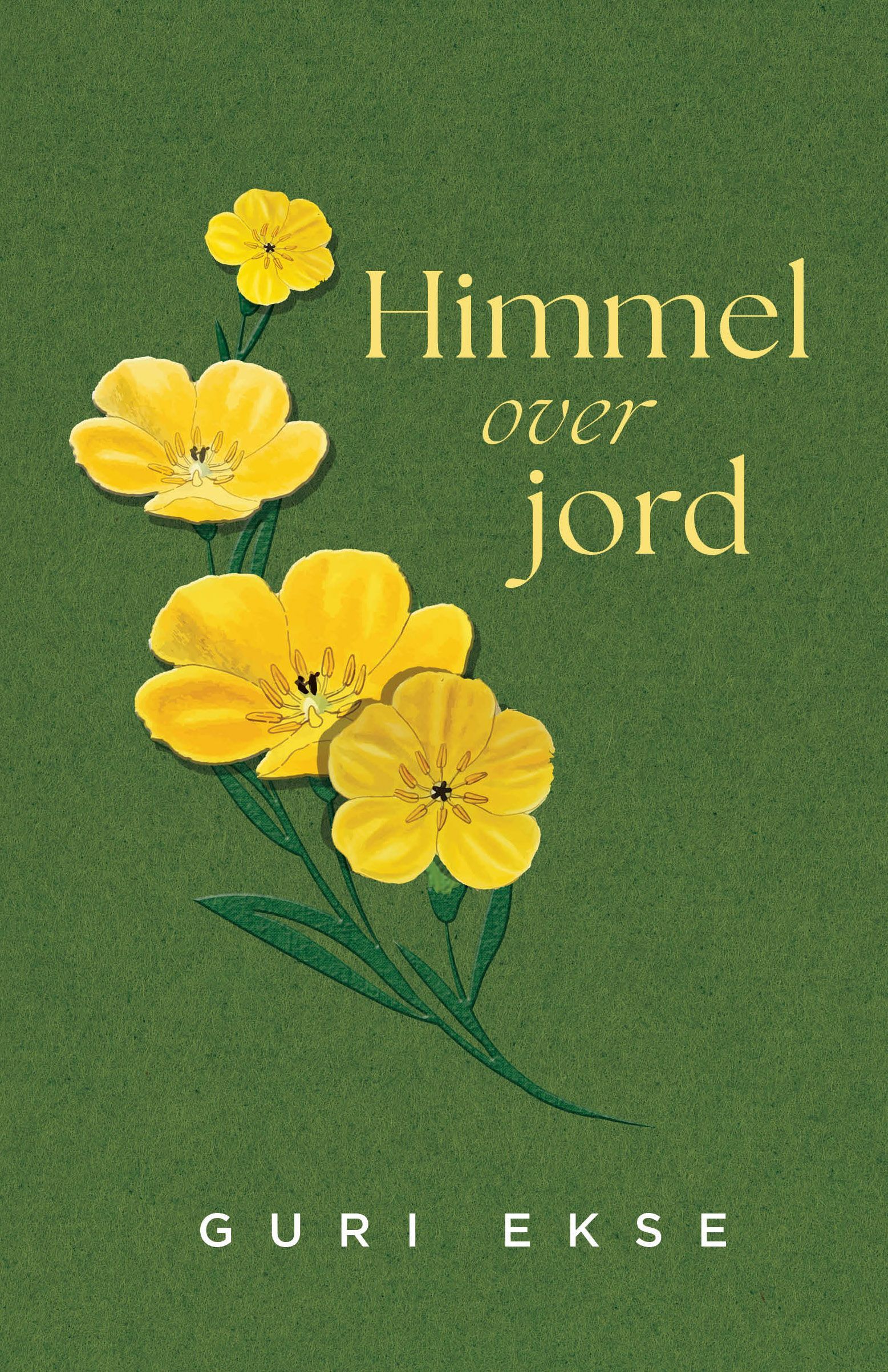 Himmel over jord