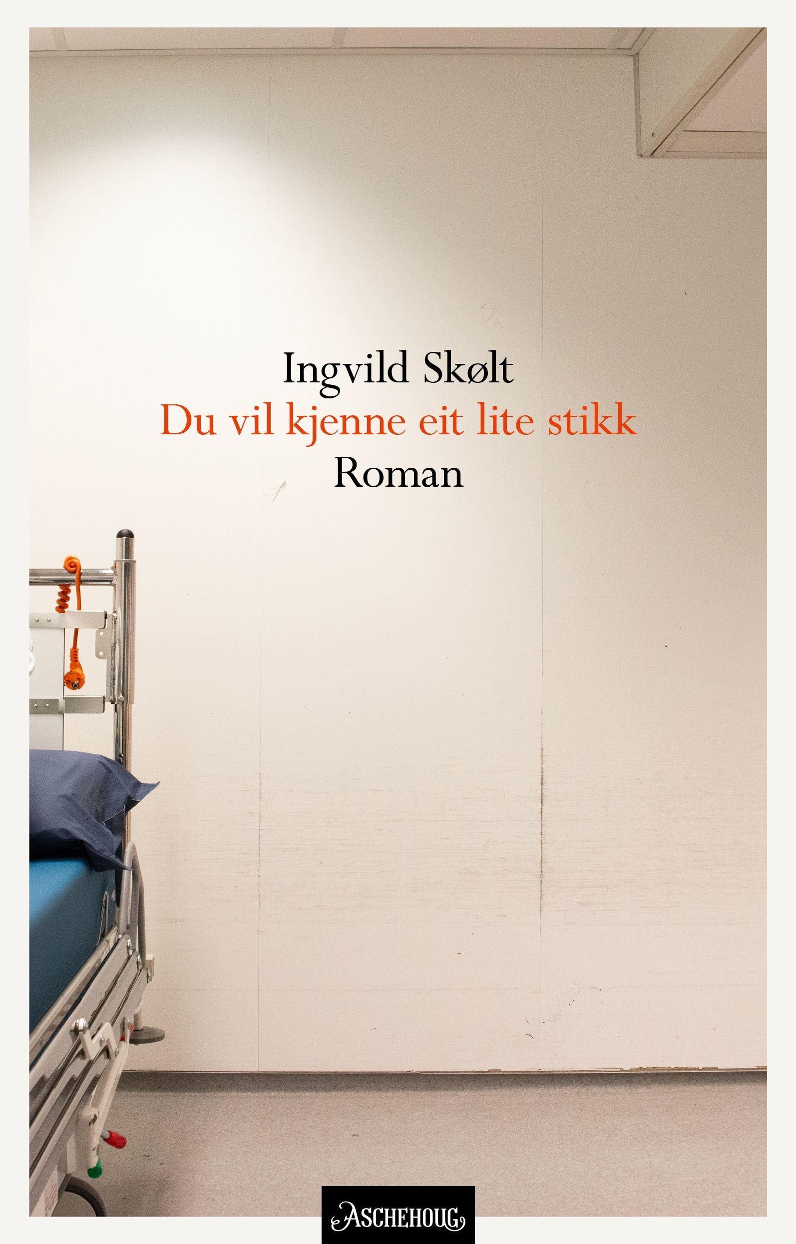 Omslagsbilde