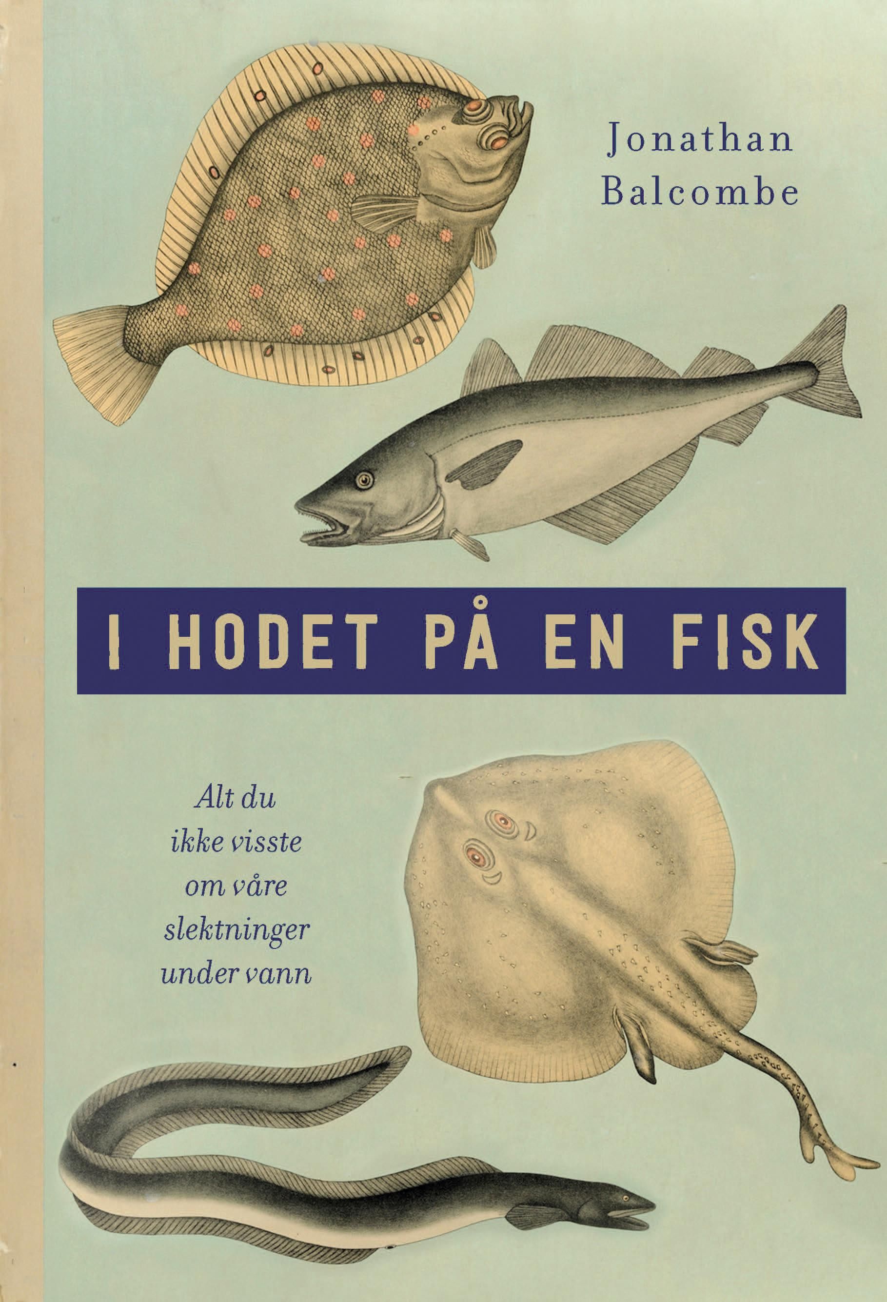 I hodet på en fisk : alt du ikke visste om våre slektninger under vann