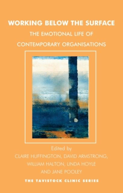 Working Below the Surface : The Emotional Life of Contemporary Organizations