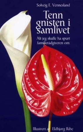 Tenn gnisten i samlivet : alt jeg skulle ha spurt familierådgiveren om