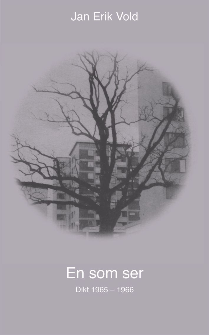 En som ser : dikt 1965-1966