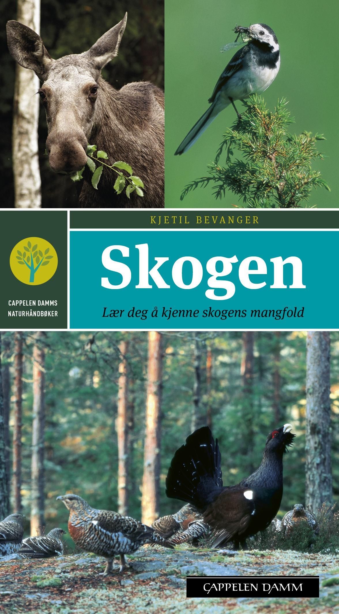 Skogen : lær deg å kjenne skogens mangfold