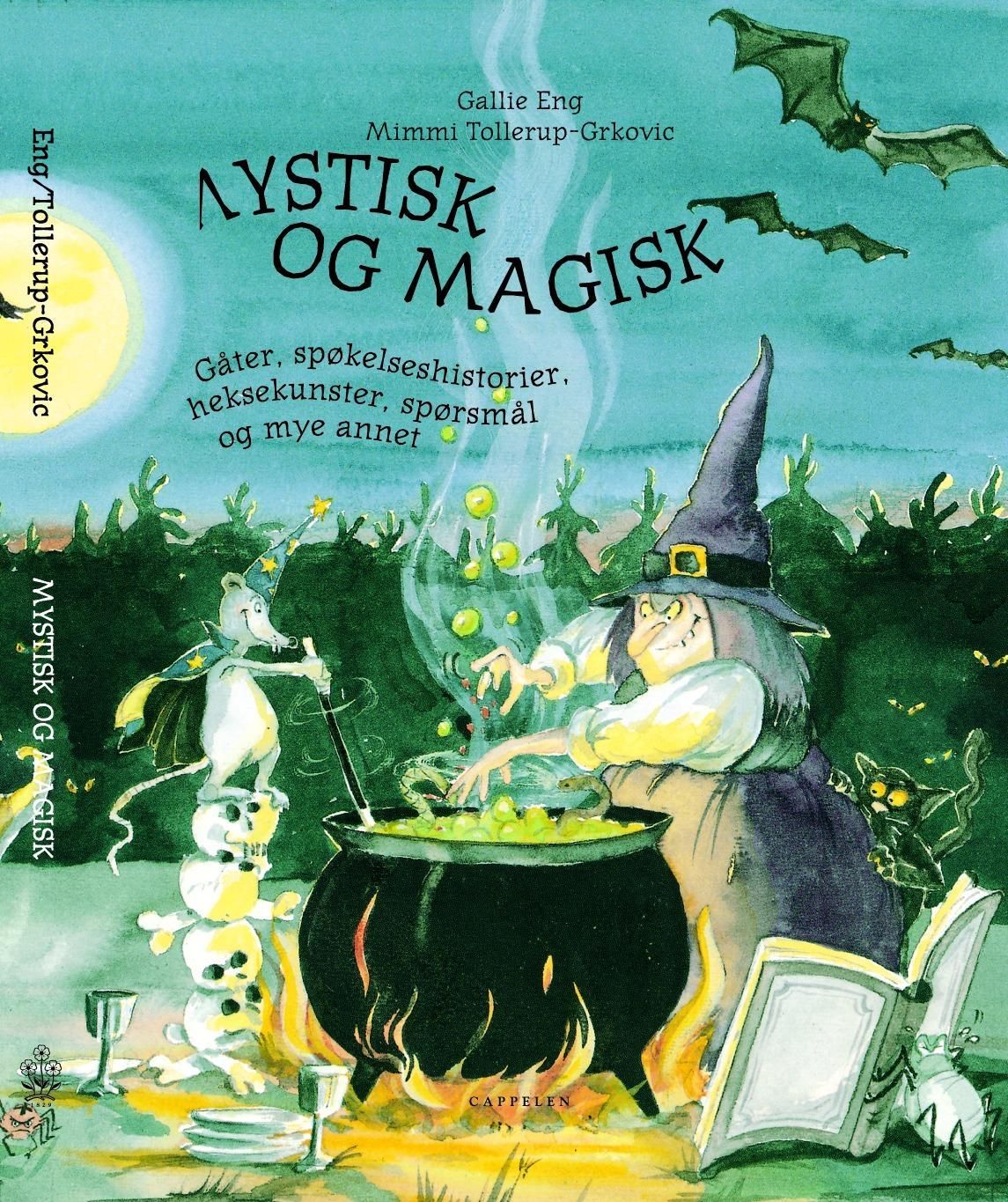 Mystisk og magisk : gåter, spøkelseshistorier, heksekunster, spørsmål og mye annet