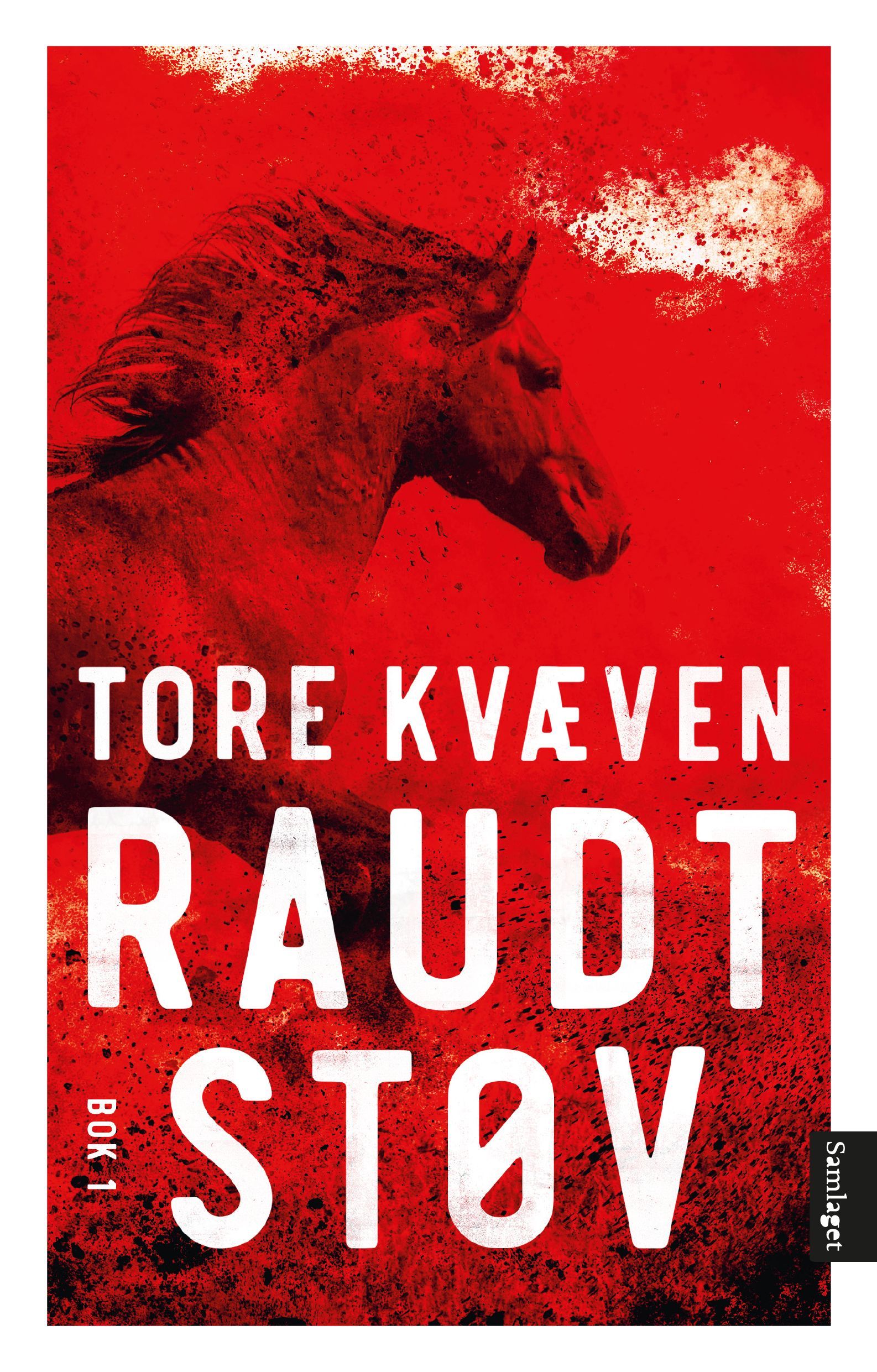 Raudt støv : roman. Bok 1