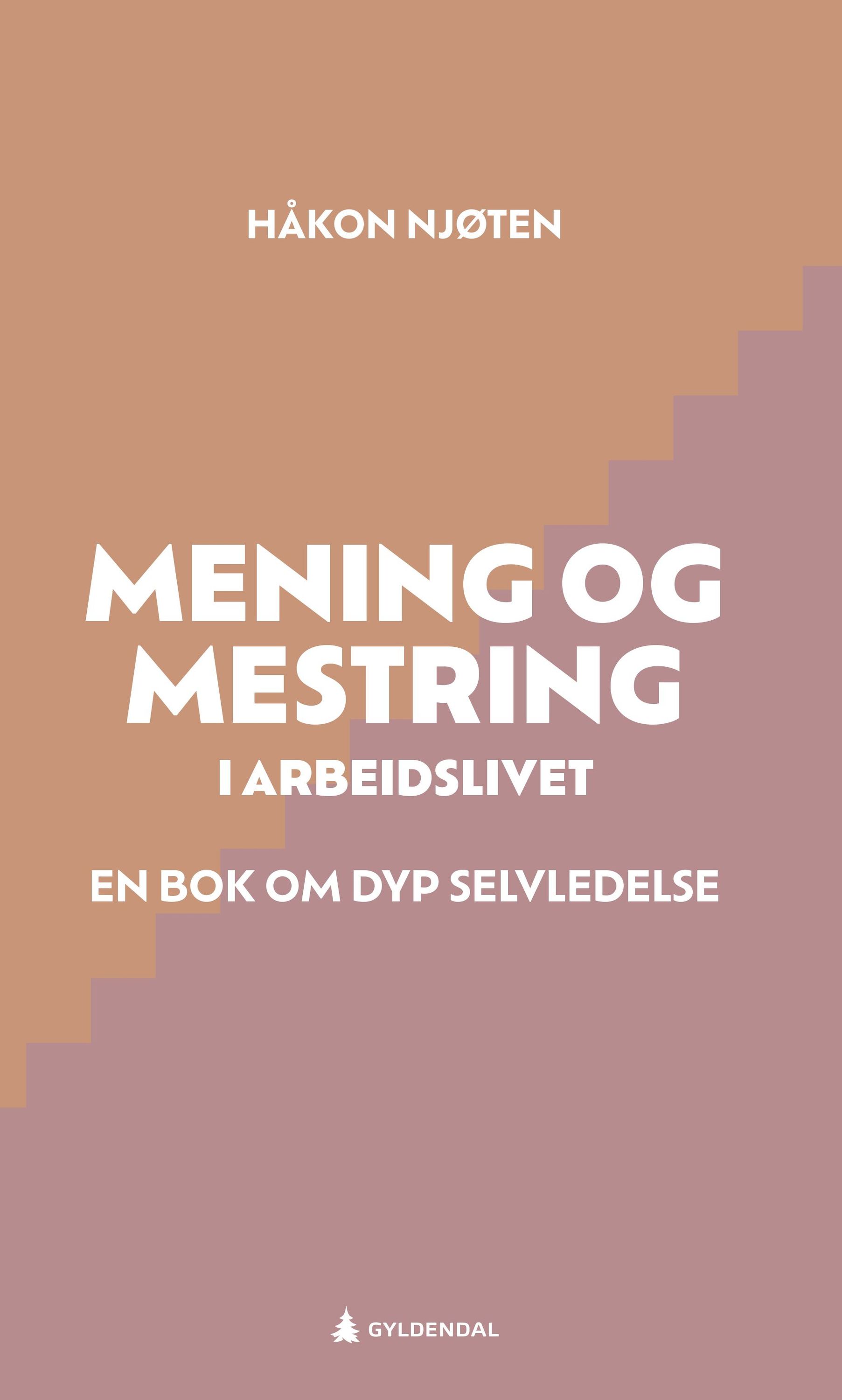 Mening og mestring i arbeidslivet : en bok om dyp selvledelse