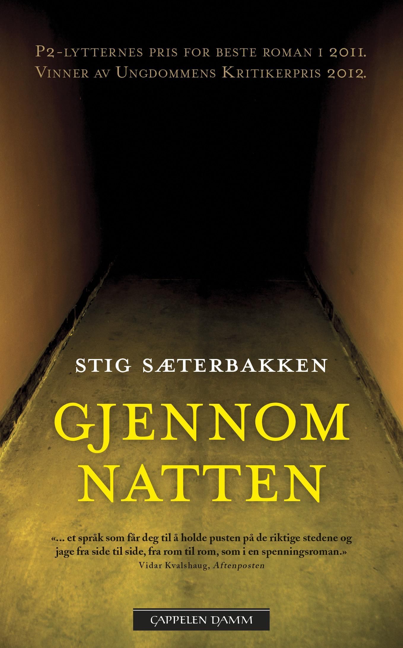 Gjennom natten : roman