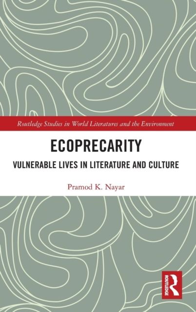 Ecoprecarity : Vulnerable Lives in Literature and Culture