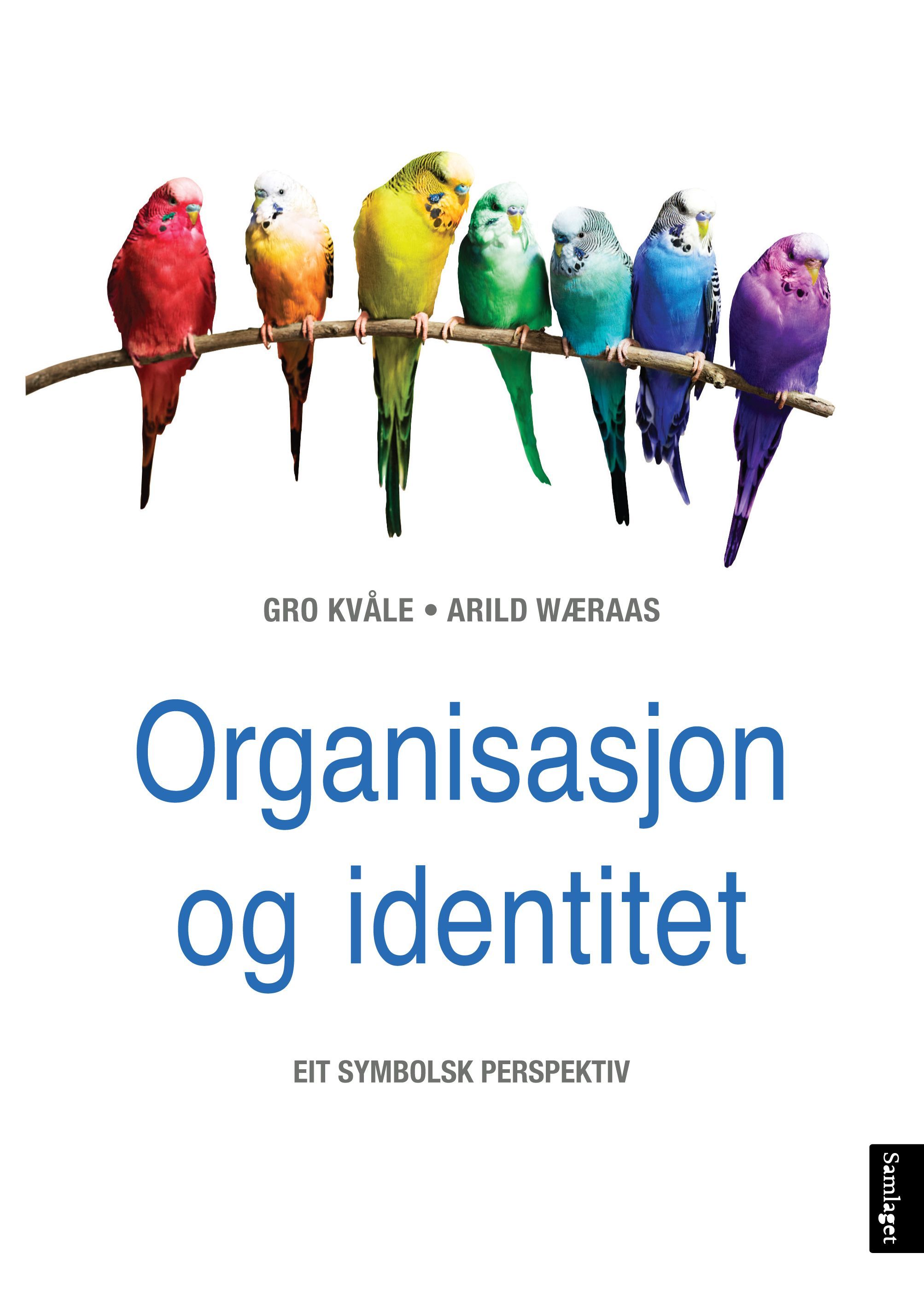 Organisasjon og identitet : eit symbolsk perspektiv