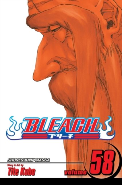 Bleach. 58. The fire