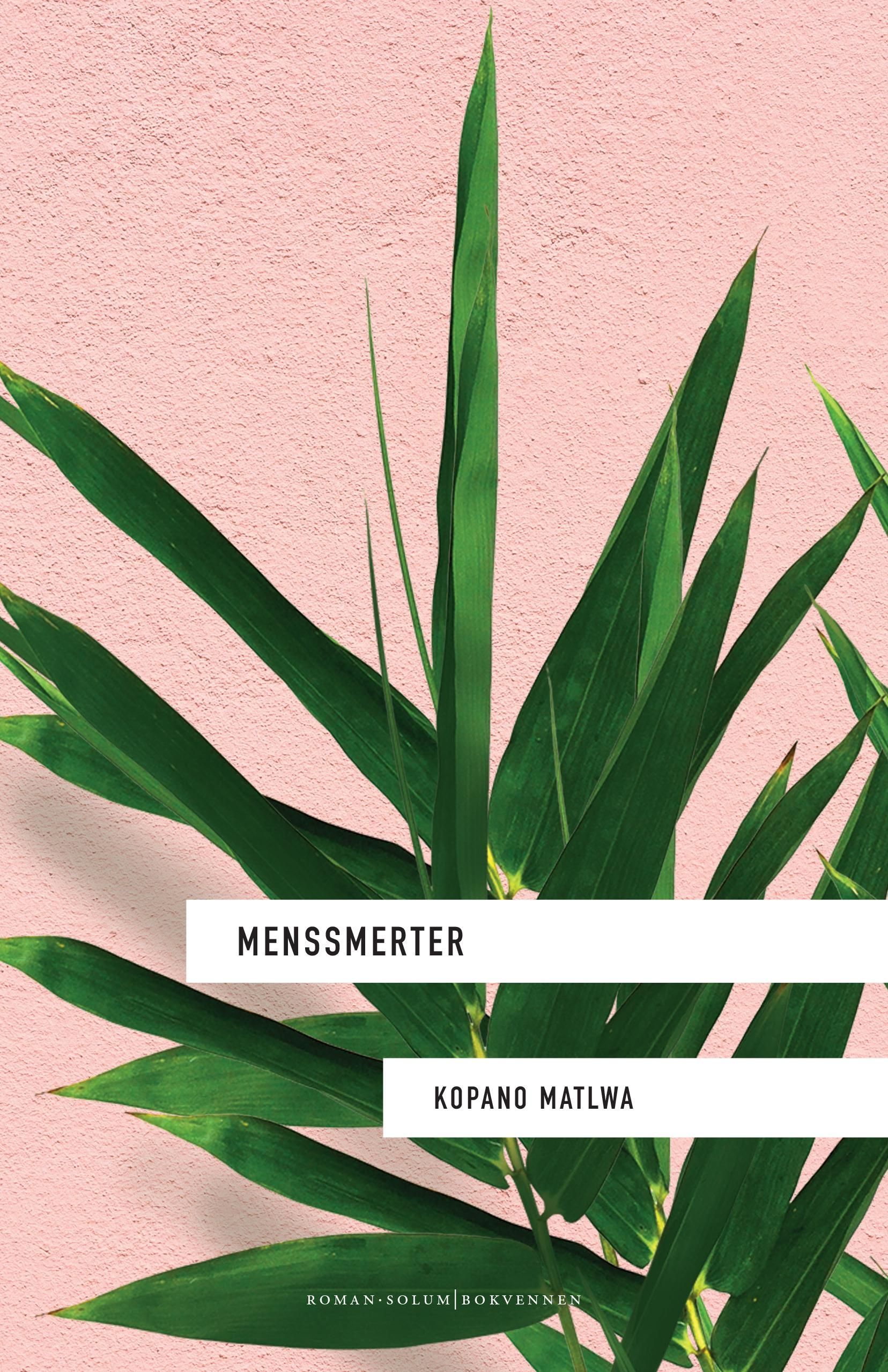 Menssmerter : roman