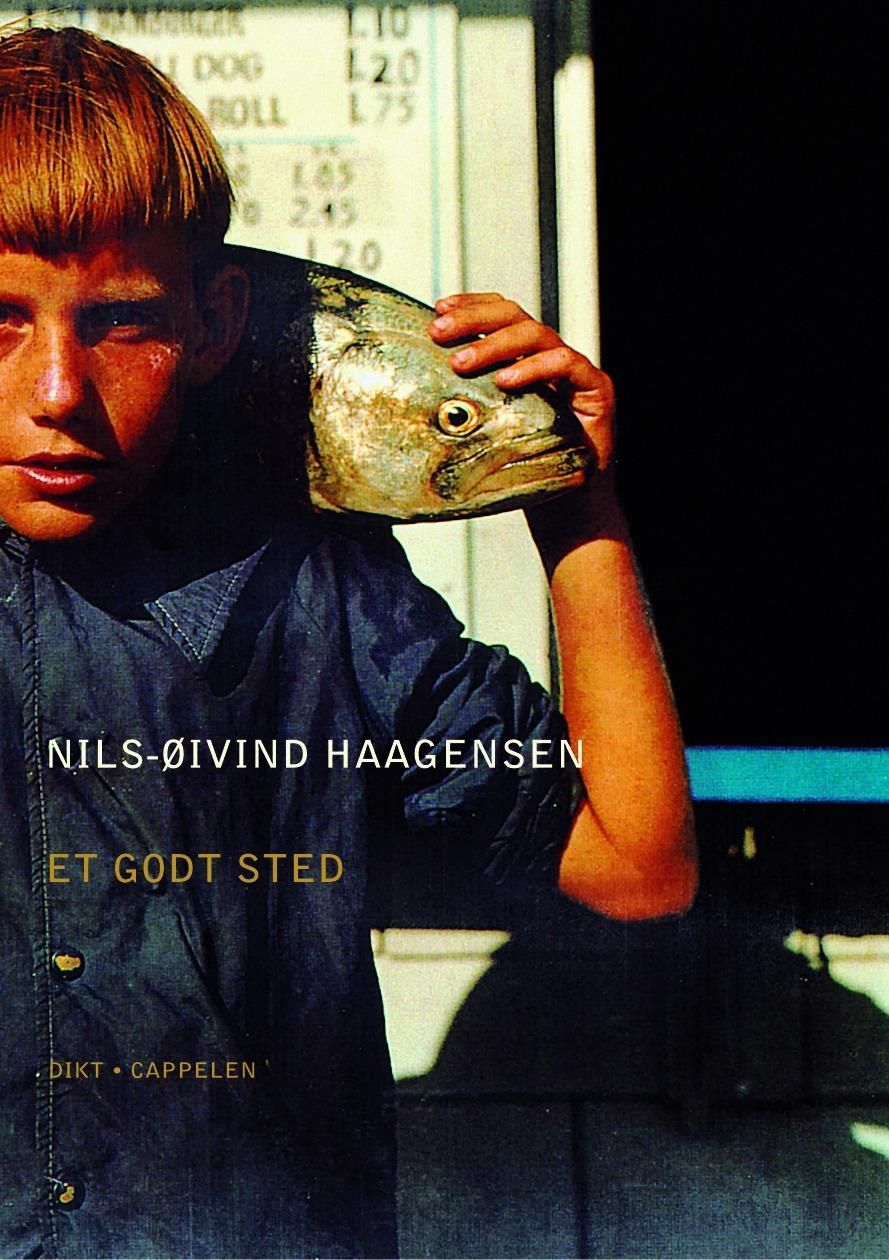 Et godt sted : dikt