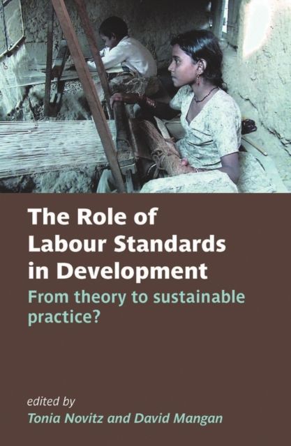 The Role of Labour Standards in Development : From theory to sustainable practice