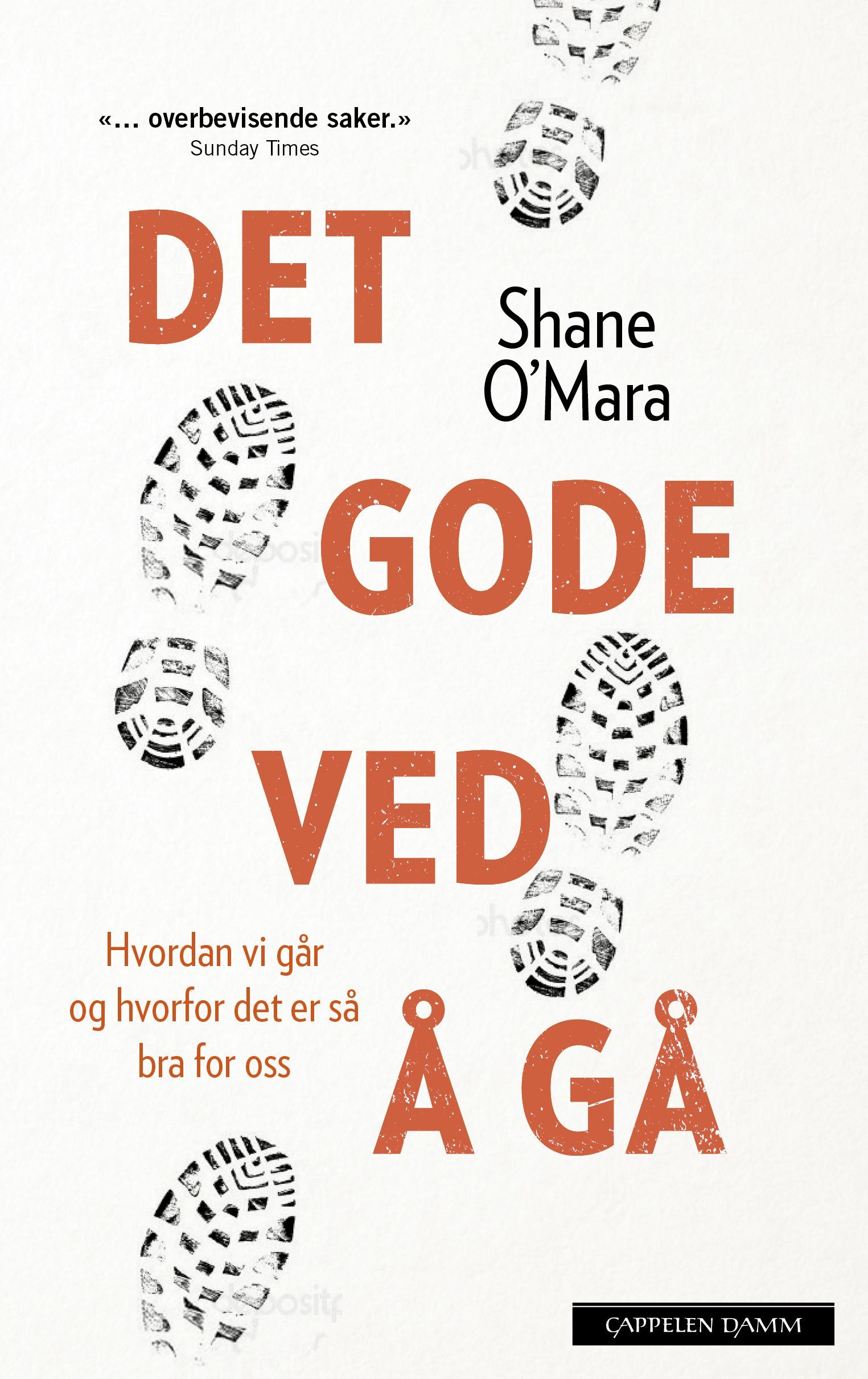 Det gode ved å gå : hvordan vi går og hvorfor det er så bra for oss