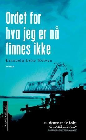 Ordet for hva jeg er nå finnes ikke : roman
