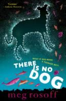 There is no dog