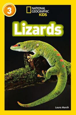 Lizards : Level 3