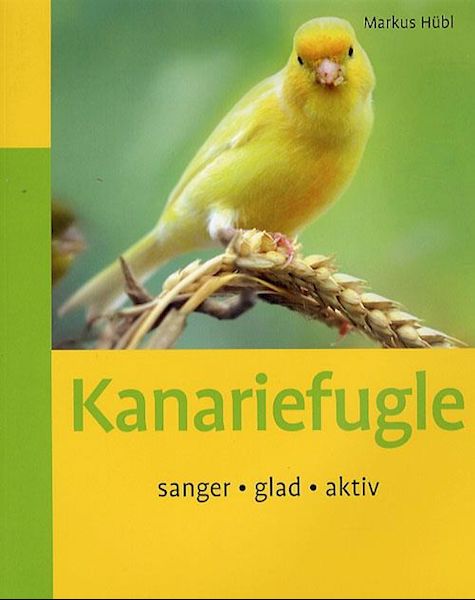 Kanariefugle : sanger, glad, aktiv : sanger, glad, aktiv