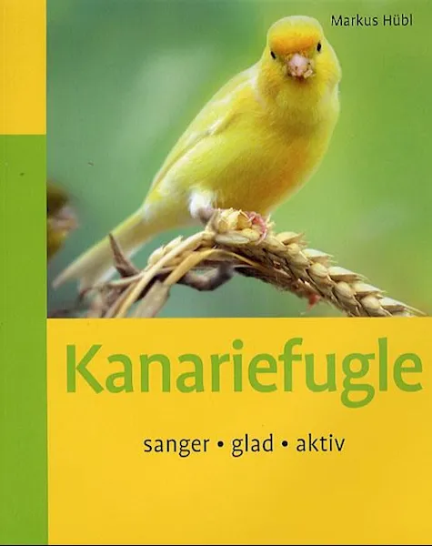 Forsidebilde av Kanariefugle : sanger, glad, aktiv : sanger, glad, aktiv