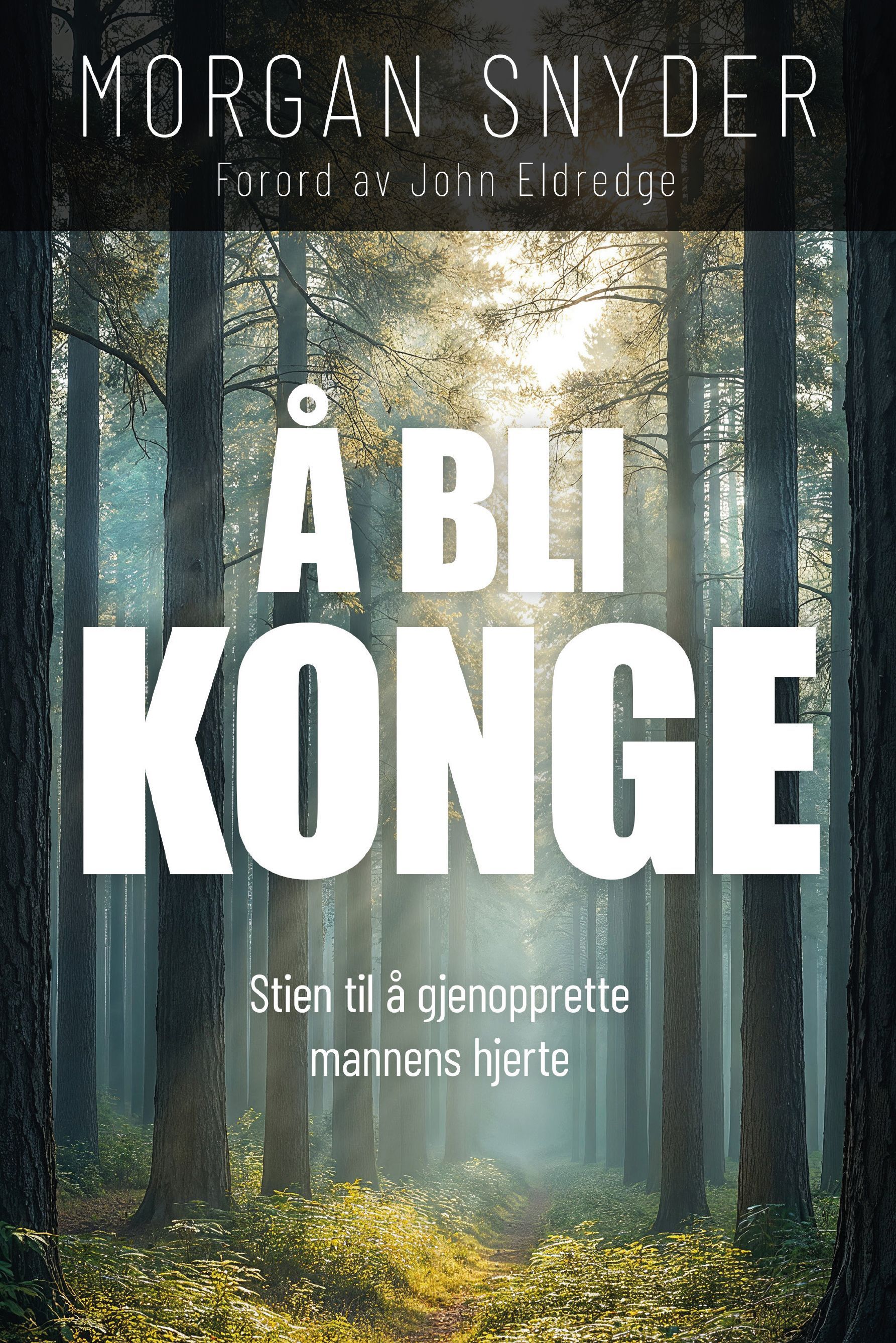Forsidebilde av Å bli konge : stien til å gjenopprette mannens hjerte