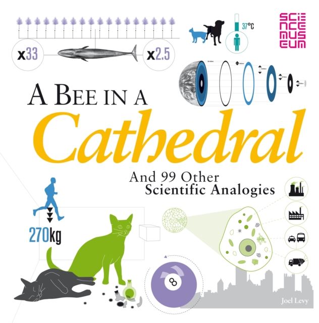 A Bee in a Cathedral : And 99 other scientific analogies