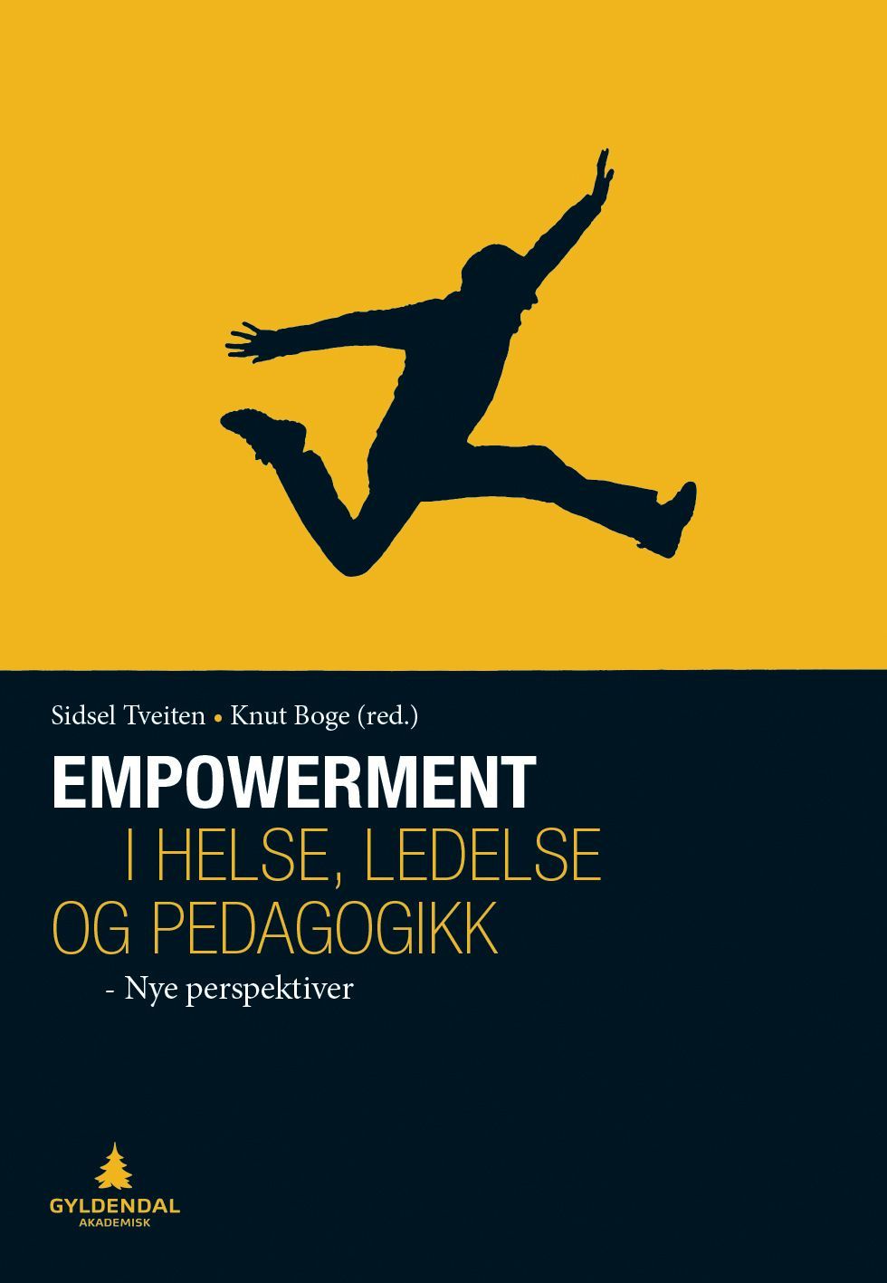 Empowerment i helse, ledelse og pedagogikk : nye perspektiver